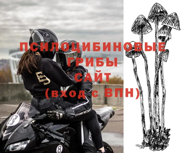 скорость Костерёво