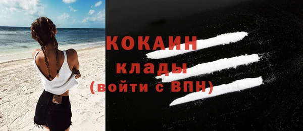 mdpv Краснослободск